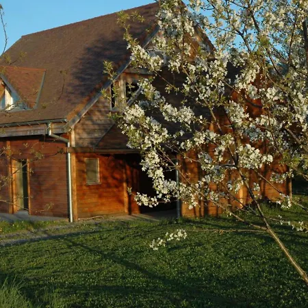 Familial Avec Piscine, Jardin Et Activites Pres Du Vignoble De Saint-pourcain - Fr-1-489-151