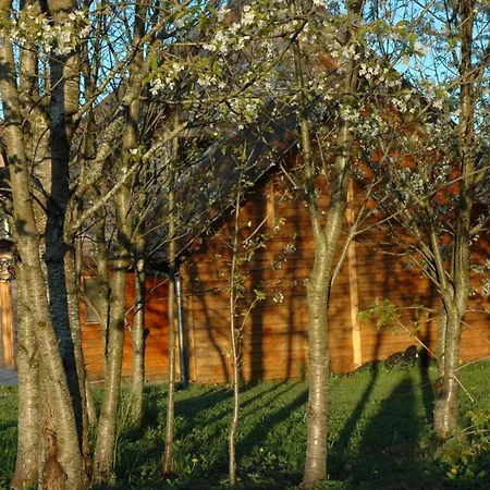 Independant Avec Jardin Et Acces Piscine Pres De St Pourcain - Fr-1-489-151