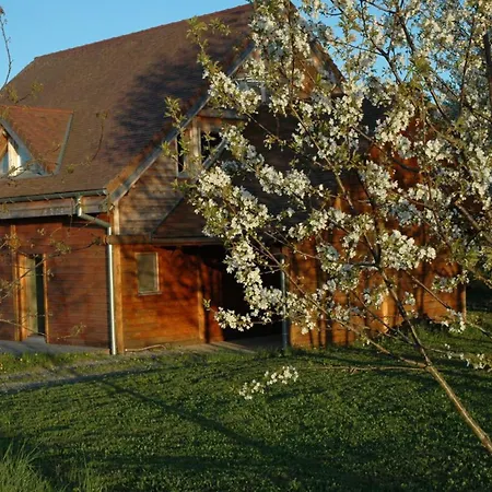 Vakantiehuis Familial Avec Piscine, Jardin Et Activites Pres Du Vignoble De Saint-pourcain - Fr-1-489-151 *